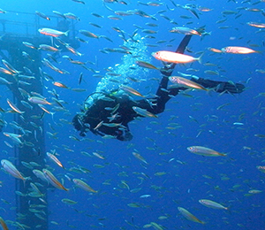 Nassau Scuba Diving