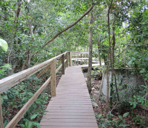 The Lucayan National Park