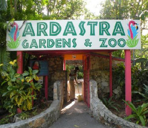 Ardastra Gardens, Zoo and Conservation Center