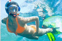 Bahamas Snorkeling Tours