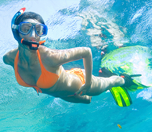 Bahamas Snorkeling Tours