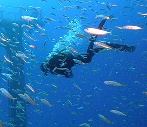 Bahamas Scuba Diving