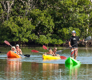 Bahamas Eco and Nature Tours